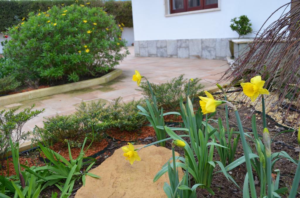 Beija-Flor House Villa Ribamar  Bagian luar foto