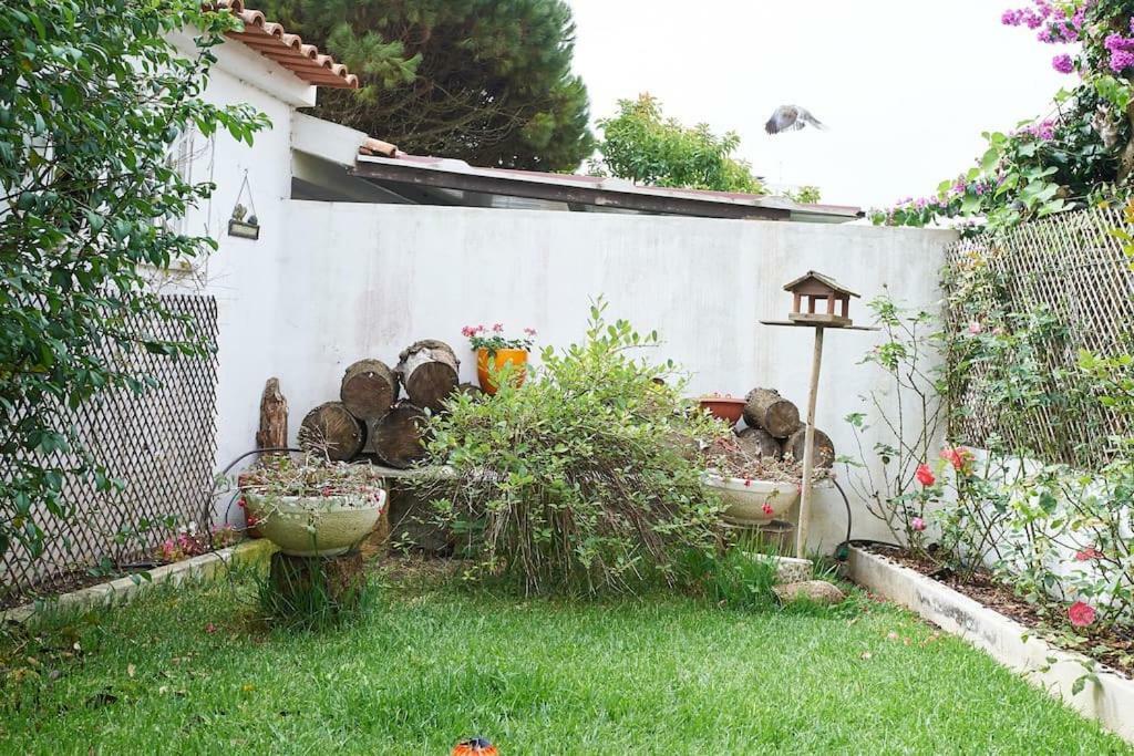 Beija-Flor House Villa Ribamar  Bagian luar foto