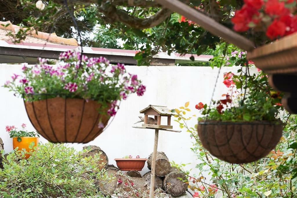 Beija-Flor House Villa Ribamar  Bagian luar foto