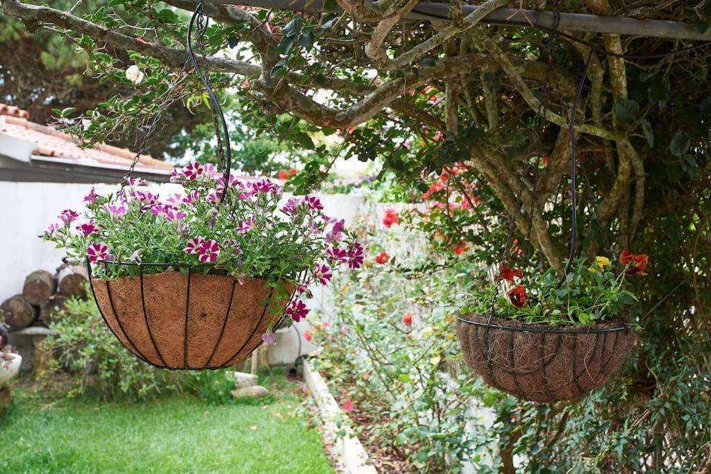 Beija-Flor House Villa Ribamar  Bagian luar foto